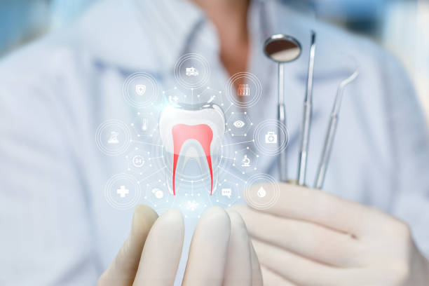 Best Traditional Braces  in Fairview Ferndale, PA